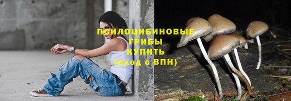круглые Новодвинск