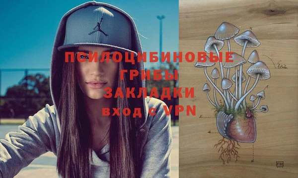 ALPHA-PVP Новозыбков
