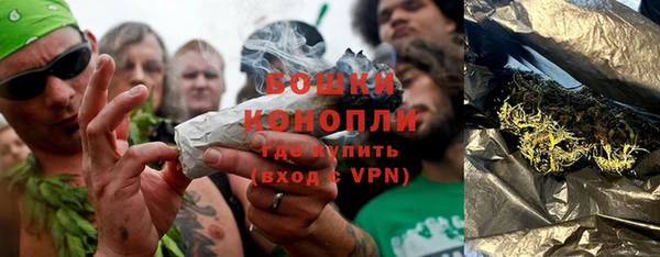 ALPHA-PVP Новозыбков