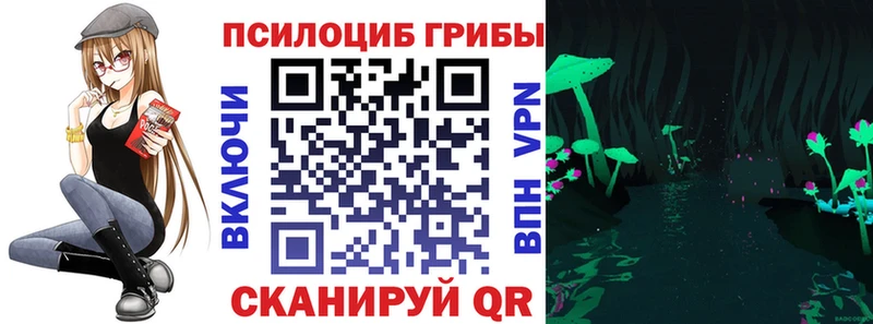 Галлюциногенные грибы прущие грибы  Купить  Петропавловск-Камчатский